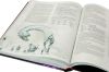 Dungeons & Dragons. Руководство мастера подземелий (RU)