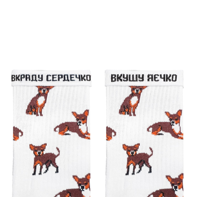 Носки Дед Носкарь Чихуахуа