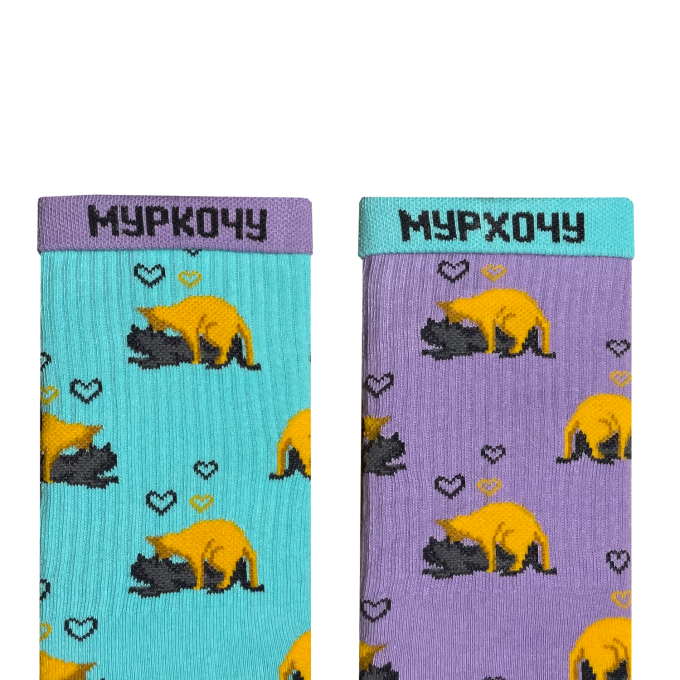 Шкарпетки Дід Носкарь Котики-коханці
