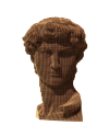 Картонный 3Д пазл "David"
