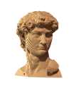 Картонный 3Д пазл "David"