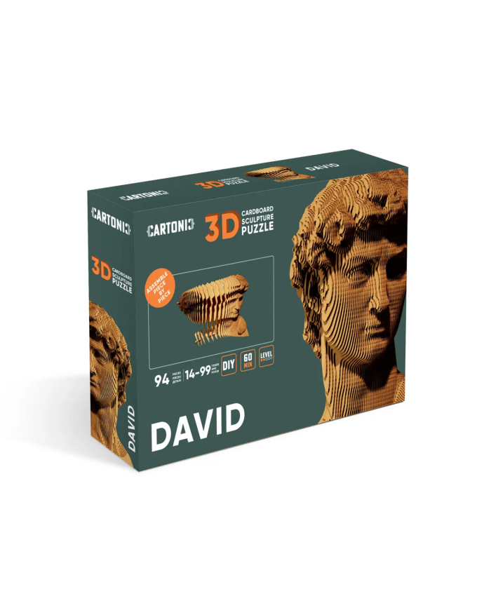 Картонный 3Д пазл "David"