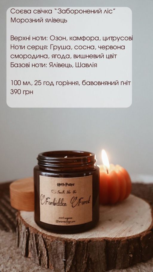 Соевая свеча "Запретный лес"